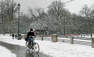 Neige près de la Citadelle de Lille.