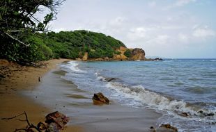 Une plage en Martinique (illustration).