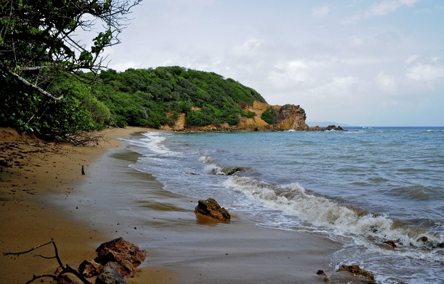 Coronavirus en Martinique : De nouvelles réglementations pour les voyageurs vers et depuis l'île