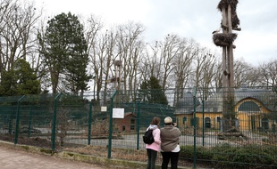 Le zoo de l'Orangerie. Strasbourg le 19 mars 2017.
