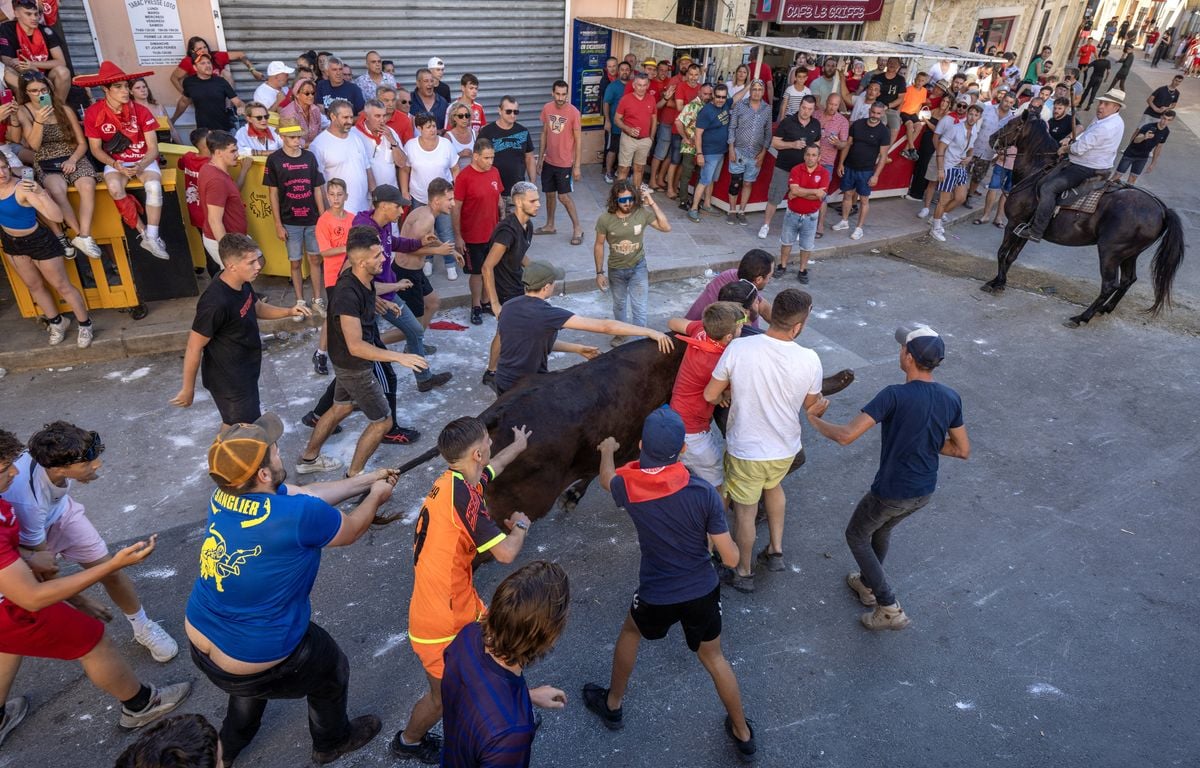 Gard : Un spectateur d'une fête votive meurt percuté par un cheval, un taureau et une voiture