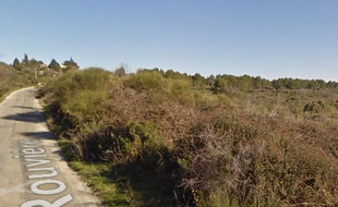 Le secteur des Terres de Rouvière, à Nîmes, où a été découvert le corps.