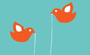 Détail de l'image qui s'affiche quand Twitter a un bug