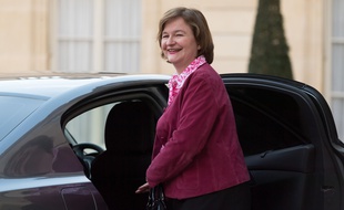 Nathalie Loiseau, la ministre des Affaires européennes, a démissionné le 26 mars 2019.