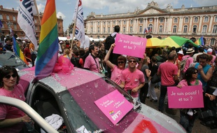 Illustration Gay pride a Toulouse en 2008.