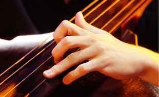 Un musicien joue du violoncelle (illustration)