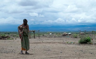 Une habitante de la province de Sitti dans l'est de l'Ethiopie, classée par l'ONU en "situation d'urgence", dernier niveau avant la famine, le 16 avril 2016
