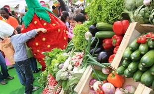 Illustration sur un marché.