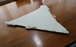 Voici le fragment trouvé par l'adolescent sud-africain sur une plage du Mozambique.
