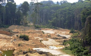 A l'occasion de la visite en France de la présidente brésilienne Dilma Rousseff, mardi et mercredi, l'organisation environnementale WWF a réclamé la "ratification urgente et l'entrée en vigueur" d'un accord signé en 2008 entre les deux pays pour lutter contre l'exploitation aurifère illégale.