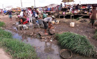 Madagascar est confronté cette année,plus que les années précédentes, à une propagation de la peste, qui a déjà affecté 86 personnes dont 39 sont mortes, selon le ministère de la Santé.