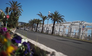 La promenade des Anglais (Illustration)