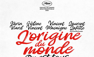 Affiche du film L'origine du monde