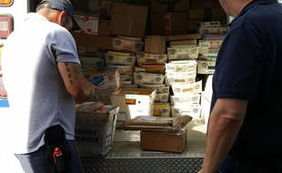 Des camions de lettres arrivent chaque jour devant la boîte aux lettres d'Hallee.