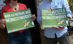 Des militants EELV affichant des pancartes contre le retour des neonicotinoides, lors de la 3eme journee des Journees d'Ete EELV le 22 aout 2020 a la Cite Fertile a Pantin.