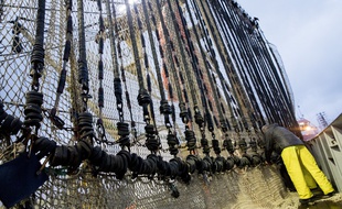 Un chalut de pêche électrique aux Pays-Bas.