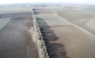 L'ancienne ligne de chemin de fer depuis laquelle les Australiens ont attaqué en mai 1917. Le village de Bullecourt, au fond.