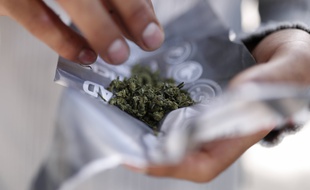 Une livraison de cannabis. (photo d'illustration).