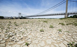 A cause de la sécheresse, la terre est craquelée à certains endroits, comme ici près d'Ancenis en Loire Atlantique, le 22 mai 2011.