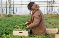 Une agricultrice d’Ariège pose pour le calendrier Belles des Prés