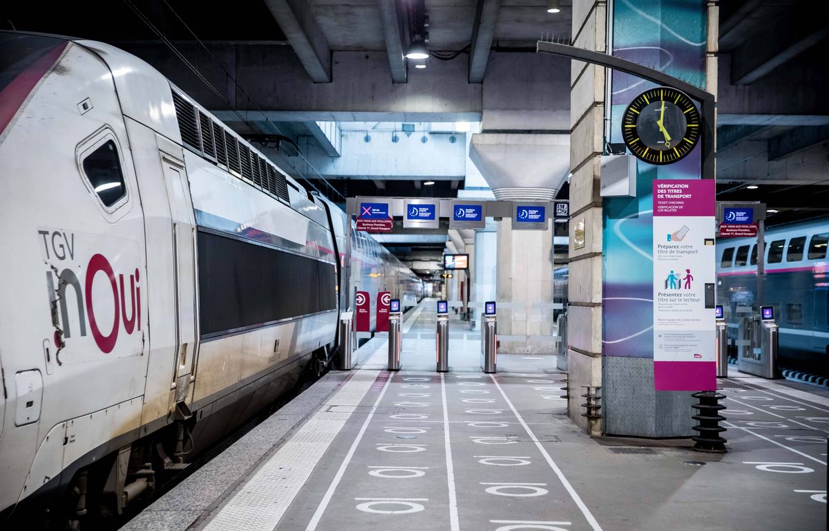 « Un comportement odieux »... Des témoins du « chat qui miaule » dans le TGV racontent la scène