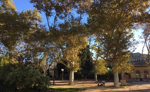 A Montpellier, ce mardi 30 octobre, le soleil est revenu.