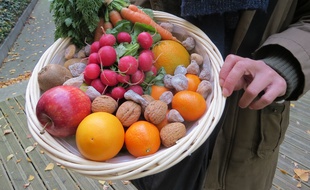 Des fruits et légumes des Paniers des familles