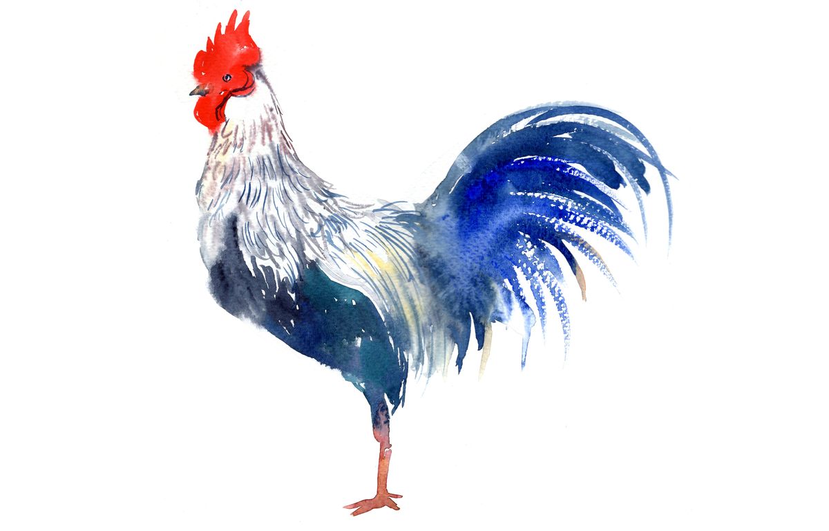 Polygonal Gallic Rooster In French Flag Silhouette Of, 59% OFF