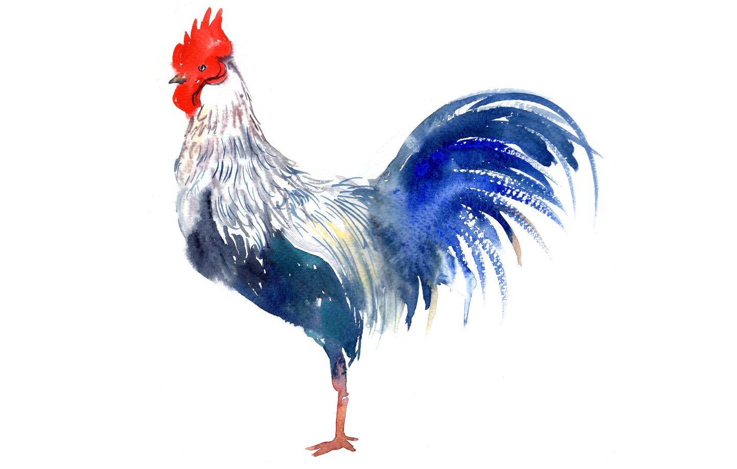 Le coq est un symbole monarchique et républicain.