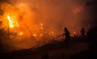 Un énorme incendie ravage depuis plus de 30 heures l'île d'Eubée, en Grèce.