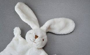 L'indispensable doudou.