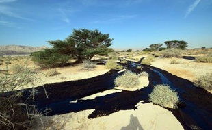 Du pétrole coule d'un oléoduc dans le désert d'Arava, en Israël, le 4 décembre 2014