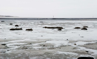 Illustration de la baie de Canche, dans le Pas-de-Calais