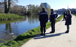 Des plongeurs ont sondé la Vilaine à Rennes ce lundi pour tenter de retrouver Céline Vervaele.