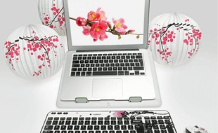 L'ensemble «Finger Print Flowers ».