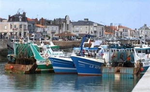 Des marins pêcheurs en colère contre les prix élevés du gazole ont démarré samedi matin un blocage du port des Sables-d'Olonne empêchant notamment la sortie en mer des bateaux de plaisance.