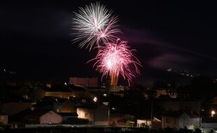 Des feux d'artifice (illustration).