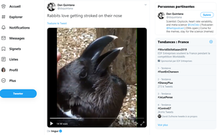 Cette vidéo vue plus de 8 millions de fois divise le web depuis quelques jours.