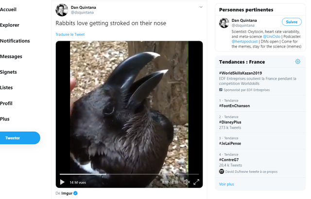 Lapin ou corbeau ? Illusion d’optique 640x410_video-vue-plus-8-millions-fois-divise-web-depuis-quelques-jours