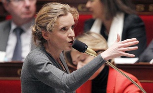 Nathalie Kosciusko-Morizet, le 31 janvier 2012, à l'Assemblée nationale.