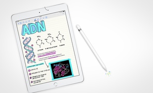 Apple a dévoilé un nouvel iPad 9,7 pouces d'entrée de gamme le 27 mars 2018, vendu à partir de 359 euros.