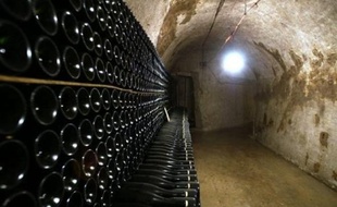 Le champagne a enregistré en 2008 une baisse des ventes pour la première fois depuis une quinzaine d'années, sous l'effet de la crise financière, mais la filière estime avoir toutes les cartes en main pour rebondir grâce à la solidité de ses fondamentaux et aux pays émergents.