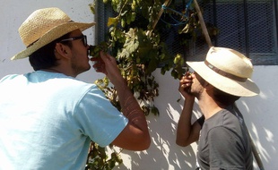 Ces Marseillais respirent le houblon.
