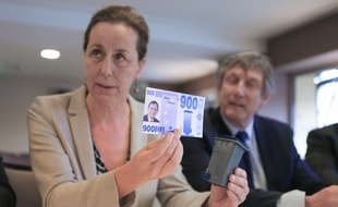 Fabienne Keller indique que le coût de l'usine d'incinération est de 900 euros par foyer fiscal.