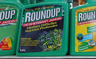 Illustration du produit désherbant de jardin, Roundup.
