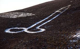 Une forme phallique dessinée dans la bruyère, à Llandegla, au pays de Galles, le 9 février 2015.