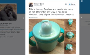 Capture d'écran de l'appel à la solidarité posté sur Twitter par le père d'un enfant autiste le 15 novembre 2016.