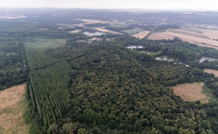 Et puis on peut faire plein de balades et forets.