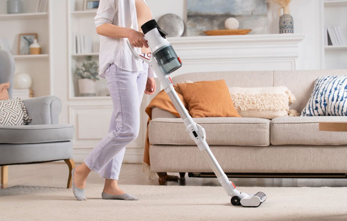 Amazon aspirateur best sale rowenta avec sac