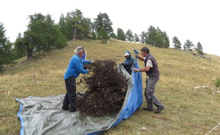 Dans la vallée de la Roya, des bénévoles ont enlevé des barbelés de la montagne.